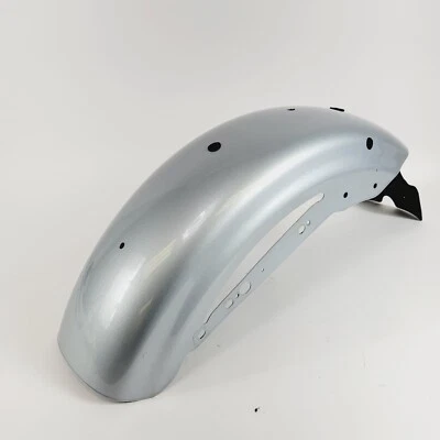 Harley-Davidson Sportster XL1200NS 2020 Iron 1200 guardabarros trasero Barracuda plateado Foto 1 de 4