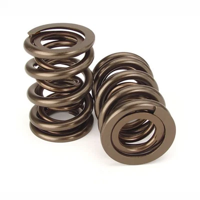 Kit de Ressorts de soupapes Cat cams Gold Peugeot 206 S16 - EW10J4 - Photo 1/2