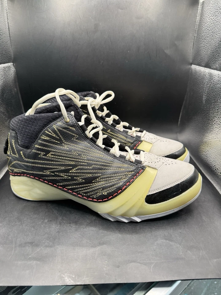 Talla 11 - Titan x Air Jordan 23 Retro SP 10º Aniversario Foto 1 de 4