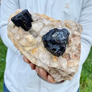 6,52 Pfund natürlicher schwarzer Turmalin und Quarzit symbiotische Mineralproben heilen - Bild 1 von 10
