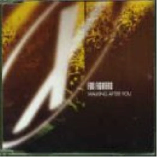 Foo Fighters Walking After You (CD) - Bild 1 von 1