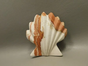 Piedra de pectina tallada a mano concha marina de riolita tallada Utah #O1 - Imagen 1 de 6