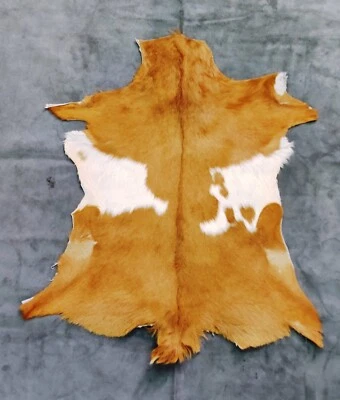 Dual Color Goat Hide, Leather Fur, Taxidermy Summer Coat, Animal Skin Pelt - Image 1 of 4