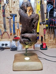 LAMPADA ARTIGIANALE CON LEGNA DI MARE - LUCE INTERNA E LUCE SU BASETTA - Foto 1 di 6