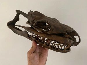 Titanoboa skull replica replique crane museum quality /fossile / fossils - Foto 1 di 4