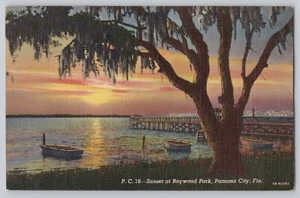 Postal FL Baywood Park Ciudad de Panamá, Florida lino sin publicar (1930-1945) - Imagen 1 de 2