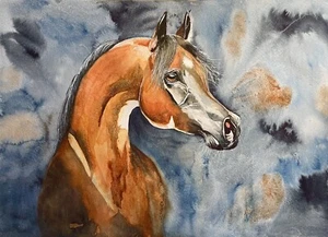 COA Original Art Watercolor Painting Arabian Horse Portrait 12”x16” Vintage A3 A - Picture 1 of 4