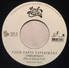 Fleur Earth Experiment Zeitleiden / Unbegreiflich Vinyl Single 7inch Melting