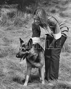 BIONIC WOMAN 8X10 Photo 301-37 LINDSAY WAGNER Jaime Sommers & MAX The Bionic Dog - Picture 1 of 4