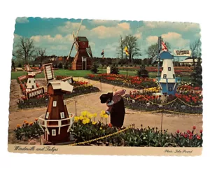 Postal de colección Holanda Michigan Molinos de viento y tulipanes envío gratuito A8 - Imagen 1 de 2