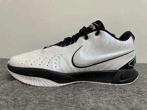 Nike LeBron XXI 21 Conchiolin Men's Size 10.5 Basketball Sneakers HF5841-100 - Picture 1 of 11