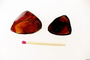 Turmalin Querschnitte 2 Scheiben D: 30 mm aus einem Kristall 29,9 ct. TSL136 - Picture 1 of 2