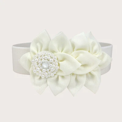 Mujer Ancho Elástico Cintura Cinturón Elastizado Flor Vestido Corsé Cintura Retro x Foto 1 de 4