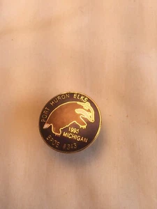 Port Huron Michigan Elks Lodge #343 Pin. - Bild 1 von 5