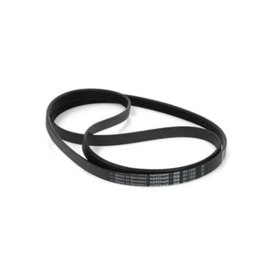 WHIRLPOOL BAUKNECHT CINGHIA LAVATRICE 1250-J5 EL CODICE RICAMBIO 481235818056 - Picture 1 of 1