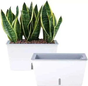 2x Hierba Auto Riego Flor Maceta Ventana Caja Maceta con Drenaje Interior Exterior - Imagen 1 de 8