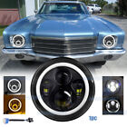 Fit Chevy Monte Carlo 1970-1975 7 Round Projector LED Headlight Halo DRL Hi/Lo Chevrolet Chevette