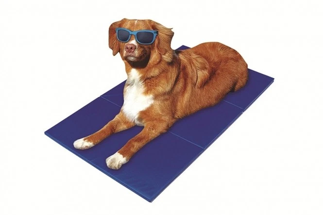 ProCyoN Kühlmatte Hund 110x70cm Blau selbstkühlend Gel Sommer Verpackung offen
