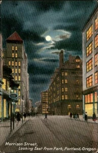 Portland,OR Looking East From Park Multnomah County Oregon Postcard - Picture 1 of 2