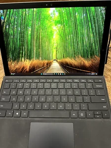 Microsoft Surface Pro 4 256 GB SSD, 16GB Touchscreen - Afbeelding 1 van 5
