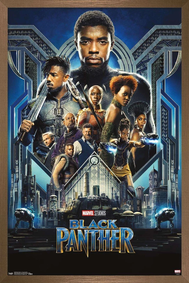 Marvel Cinematic Universe - Black Panther - Group One Sheet 14x22 Poster - image 1 of 1
