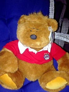 Gund Limited Edition 1996 Lands' End Kid Kodiak Rugby Bear 16'' - Picture 1 of 4