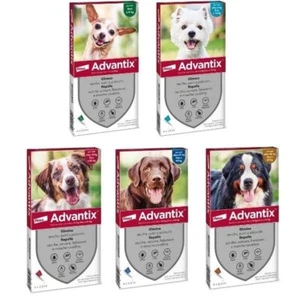 ADVANTIX Antiparassitario Spot On per cani contro pulci zecche e zanzare 4 FIALE - Foto 1 di 6
