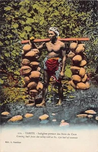Polynésie - TAHITI - Indigène portant des noix de cocos - Ed. L. Gauthier 112 - Imagen 1 de 2