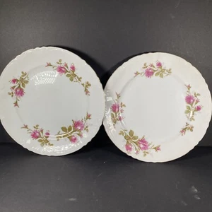 Royal Rose Fine China 10” Dinner Kitchen Plates (2) Moss Rose Pattern Japanese - Picture 1 of 11