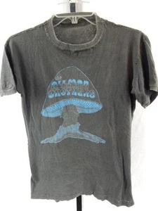 Camiseta Vintage Años 70 The Allman Brothers Band Burnout Azul Champiñón Southern Rock - Imagen 1 de 12