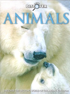Let's Discover Animals - Kinder Tier Lernbuch Hardcover, V.Gut - Bild 1 von 3