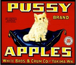 Yakima Washington State Pussy White Persian Cat Apple Fruit Crate Label Print - Picture 1 of 1