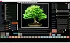 New 2020 Version Bonsai Collector Database Professional Software