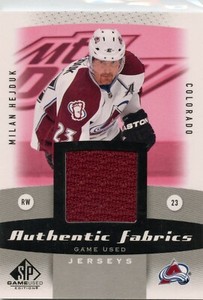 2010-11 SP Game Used Authentic Fabrics #AF-HE Milan Hejduk