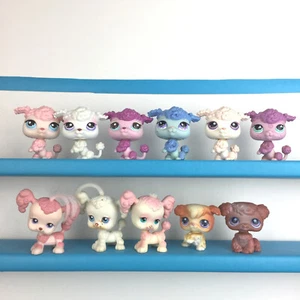 Authentic Lot 12 Littlest Pet Shop Poodle Dog / LPS Set - Picture 1 of 5