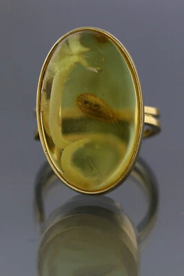 Anillo ajustable de plata chapado en oro ámbar báltico genuino miel 6,1 g 190425-12 Foto 1 de 4
