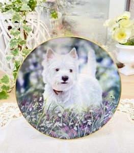 Vintage Wall-Mounted Porcelain Plate Dog "In den Blumenwiesen" "Westies" Germany - Picture 1 of 3