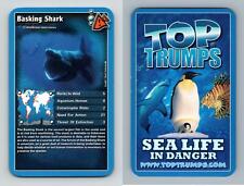 Basking Shark  - Sea Life In Danger 2008 Top Trumps Card