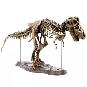Tyrannosaurus Rex Assemble Skeleton Large Dinosaur Fossil Skull Animal Model Toy - Picture 1 of 13