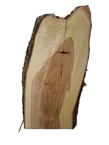 1x Ulme Rüster Bohle Brett Holz Baumkante Riss epoxid DIY Waschtischplatte - Bild 1 von 10