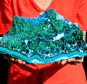 1 Foot Genuine Museum Blue Chrysocolla Malachite Stalactite Slice, Congo! CR100 - Picture 1 of 9
