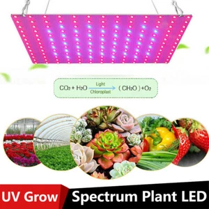 1000W Full Spectrum Plant LED UV Grow Light Veg Lamp For Indoor Hydroponic Plant - Picture 1 of 20