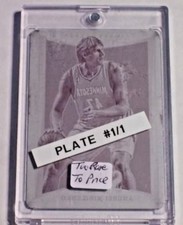 2012-13 Select Magenta Printing Plate Andrei Kirilenko 1/1 Timberwolves Jazz