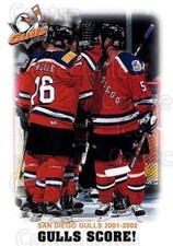 2001-02 San Diego Gulls #24 San Diego Gulls