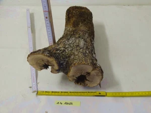 Olivenholz Drechselholz Olive Messergriff Terrarium Klotz Basteln Deko,12022 - Bild 1 von 3