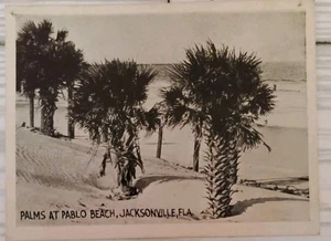 VTG Florida Photo Card Palms At Pablo Beach Jacksonville 3.5"x2.75" - Picture 1 of 2
