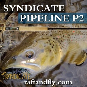 Syndicate P2 Pipeline Pro 3wt 11'0" Euro Nymph Rod | Lifetime Warr FREE SHIPPING - Picture 1 of 4