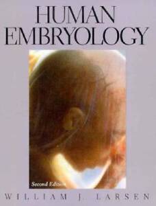 Human Embryology - Paperback By William J Larsen - GOOD