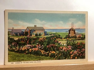 Homes by the Sea: Cape Cod, MA - Vintage Postcard - Picture 1 of 3