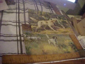 Vintage Setter Pointer Jagdhunde USA G.P. Lithographie #10905 8"x 6" Vintage - Bild 1 von 4